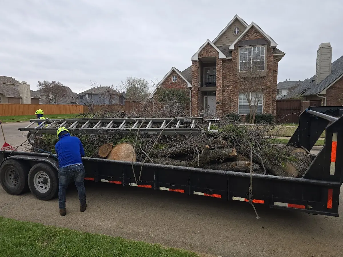 Expert Tree Pest Control with proper safety equipment in Tollesboro